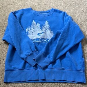 American Eagle Outfitters Blue Sweatshirt